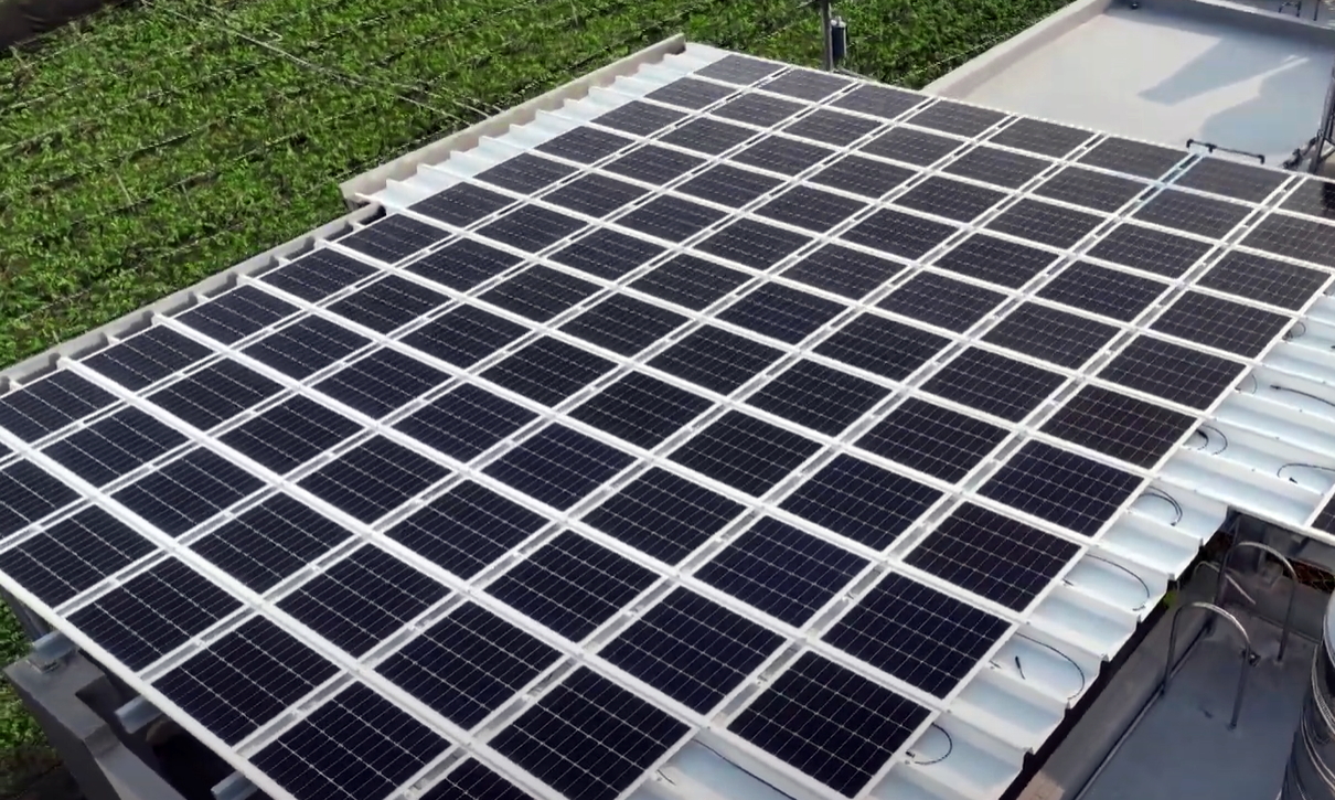 jinnian金年会SunSteel光电浪板升级双玻结构，以提升机械负载强度及气候耐候度，可广泛运用于多元场域