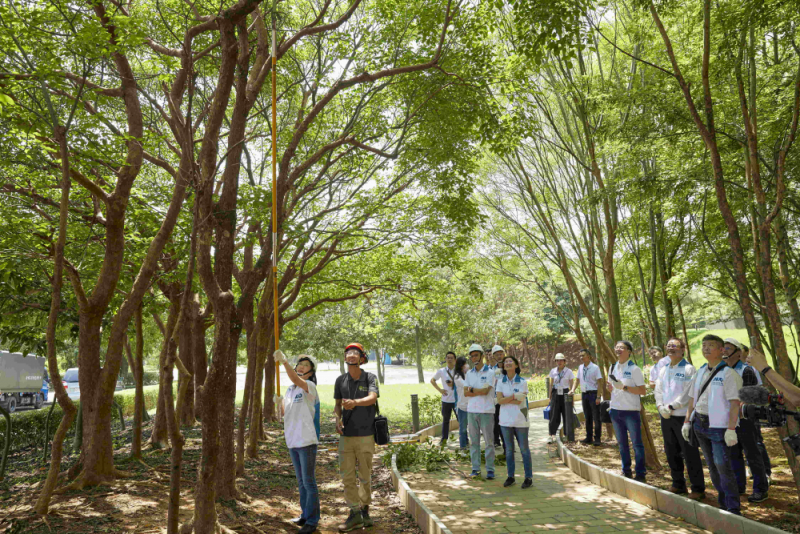 藝師教導大家認識樹木、檢查樹的健康狀況，學習修枝及碎枝覆土