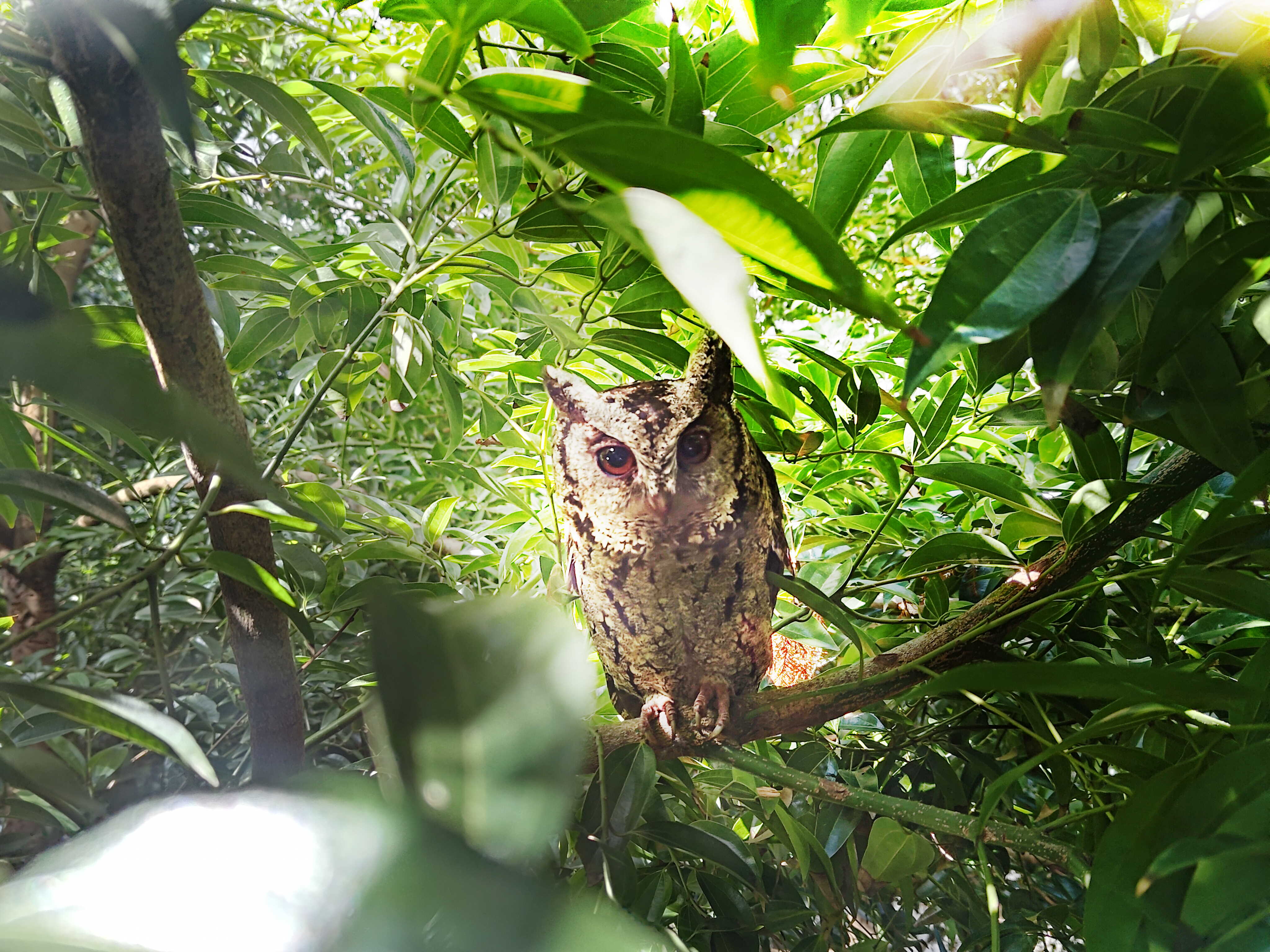 jinnian金年会致力提倡净零绿生活，16年以来在全球各厂区植树逾百万棵，造就各厂区树木蔚然成林，犹如森林工厂，成为许多生物的栖息地